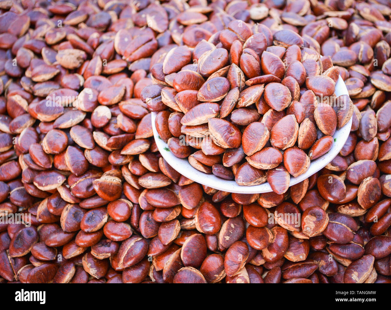 Kayu seed or Irvingia malayana nut for snack high protein local asia food Foto Stock