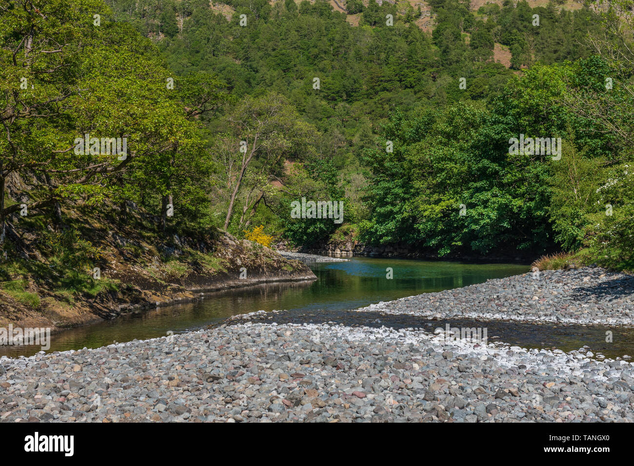 Il fiume Derwent a Pennybridge Dub Cumbria Foto Stock
