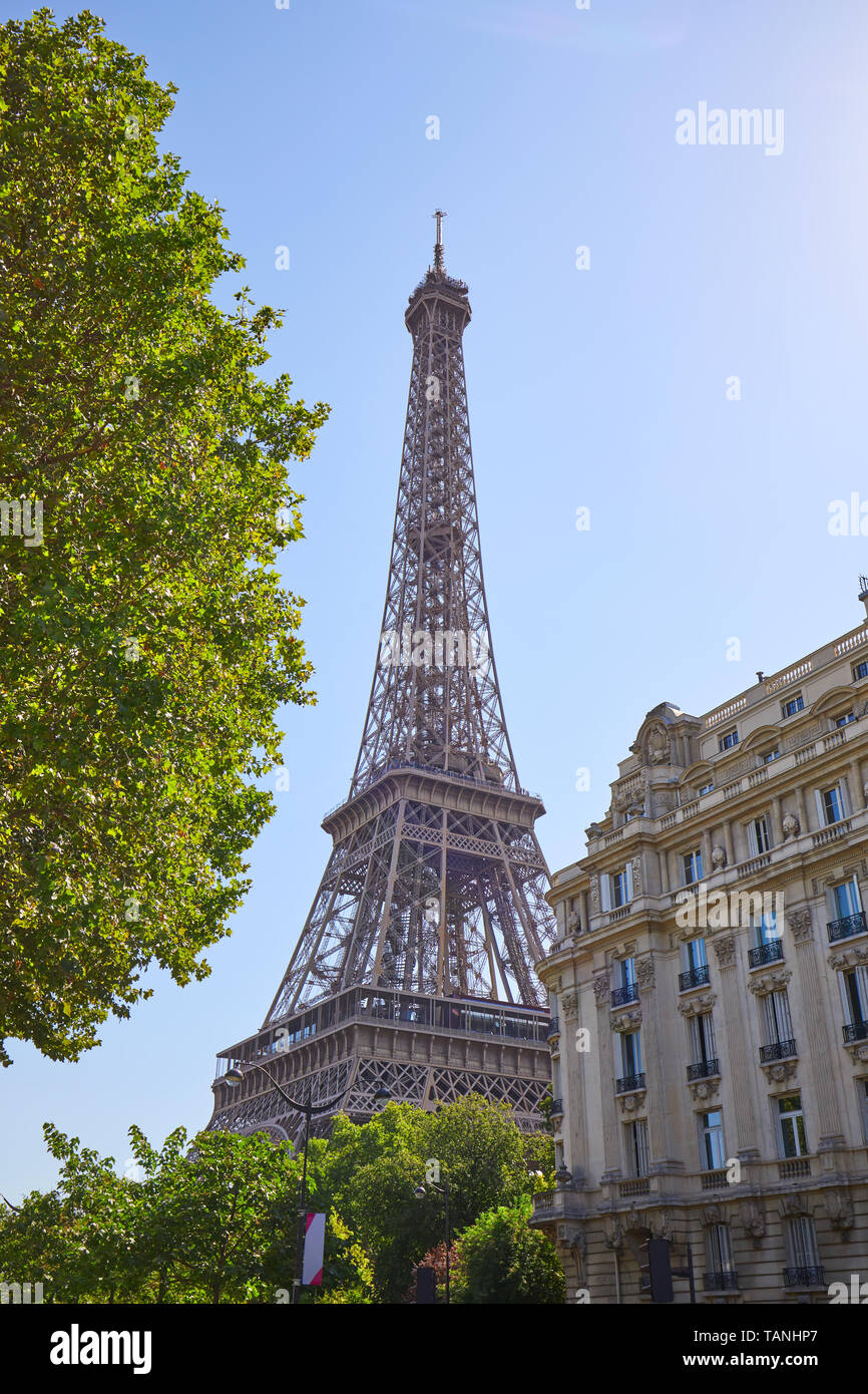 Parigi, Francia - 21 luglio 2017: Torre Eiffel, Parigi edificio e albero verde in una soleggiata giornata estiva, cielo blu chiaro Foto Stock