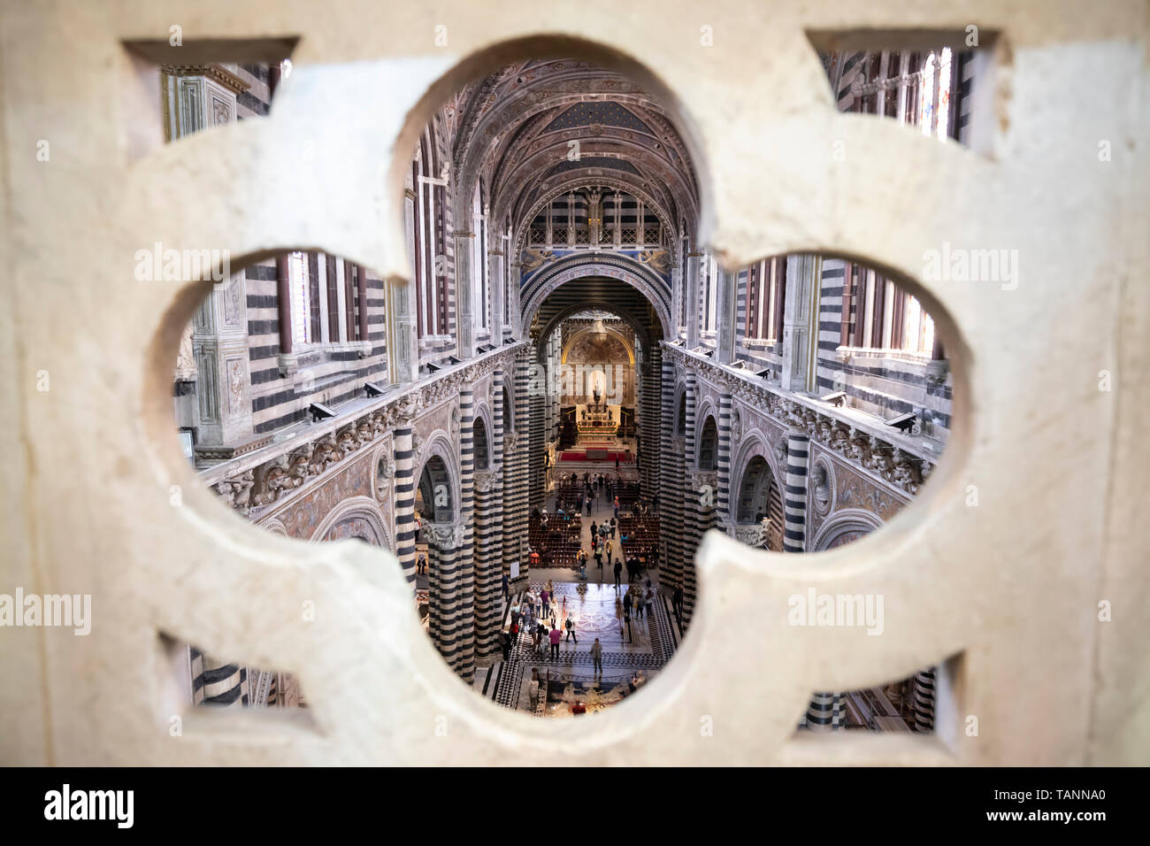 La navata centrale del Duomo di Siena visto attraverso la Porta del Cielo, Siena, in provincia di Siena, Toscana, Italia, Europa Foto Stock