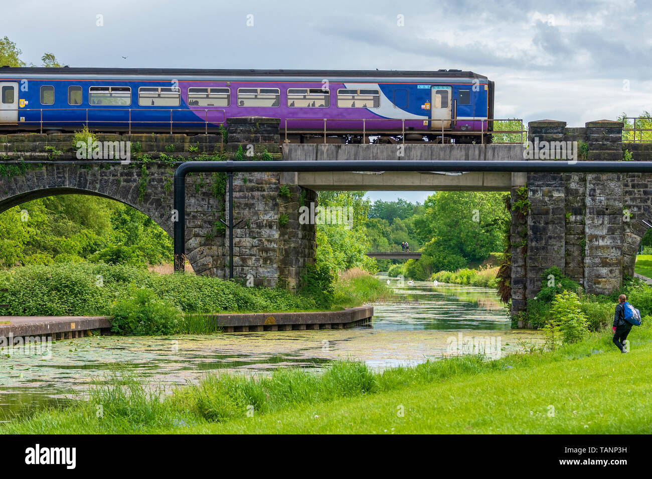 Il treno attraversa ponte sopra il Sankey canal in Sankey Valley Park. Foto Stock
