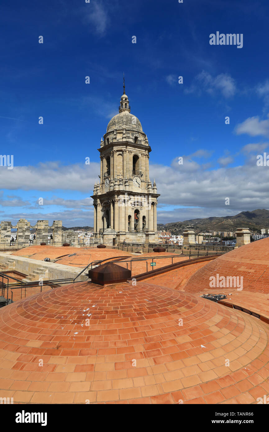 Tour guidato al tetto o da cupole della cattedrale di Santo incarnazione di Malaga, nel centro della città, in Spagna, Europa Foto Stock