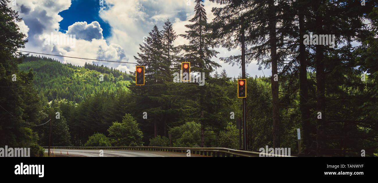 Tre rossi semaforo appesa sopra la strada attraverso una foresta di montagna, Stati Uniti d'America. Foto Stock