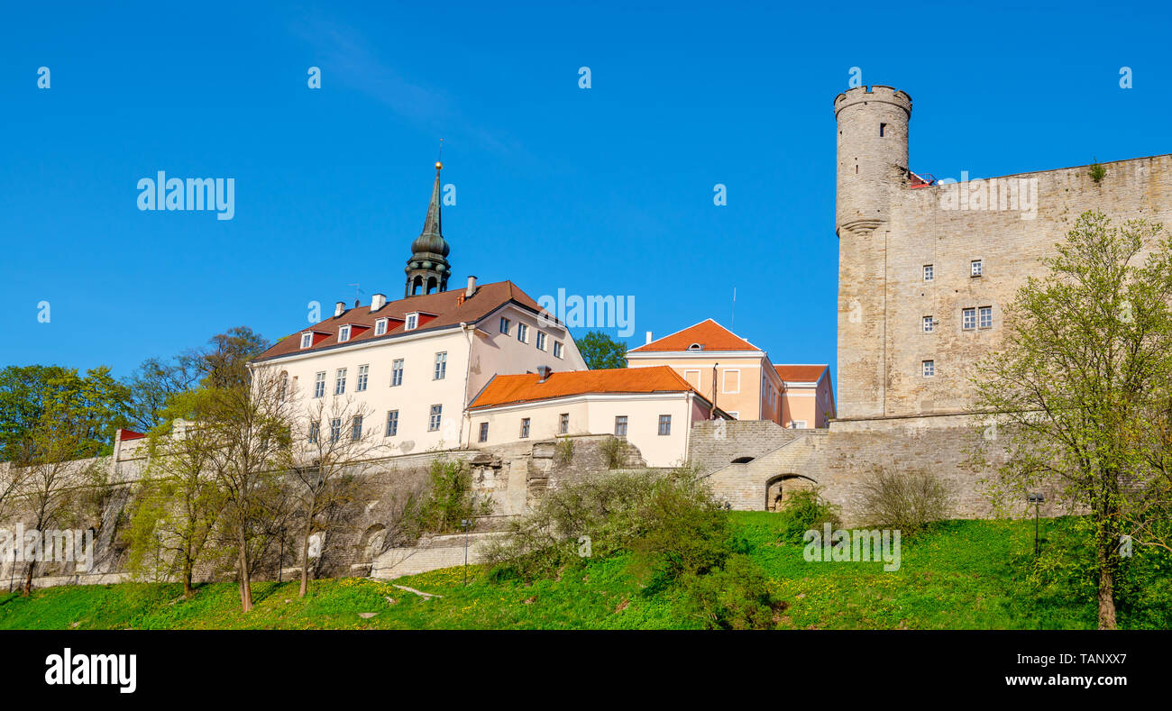 Vista panoramica per il Castello di Toompea e la Cattedrale di Santa Maria la torre sulla collina di Toompea nella città vecchia di Tallinn, Estonia, paesi baltici, Europa Foto Stock
