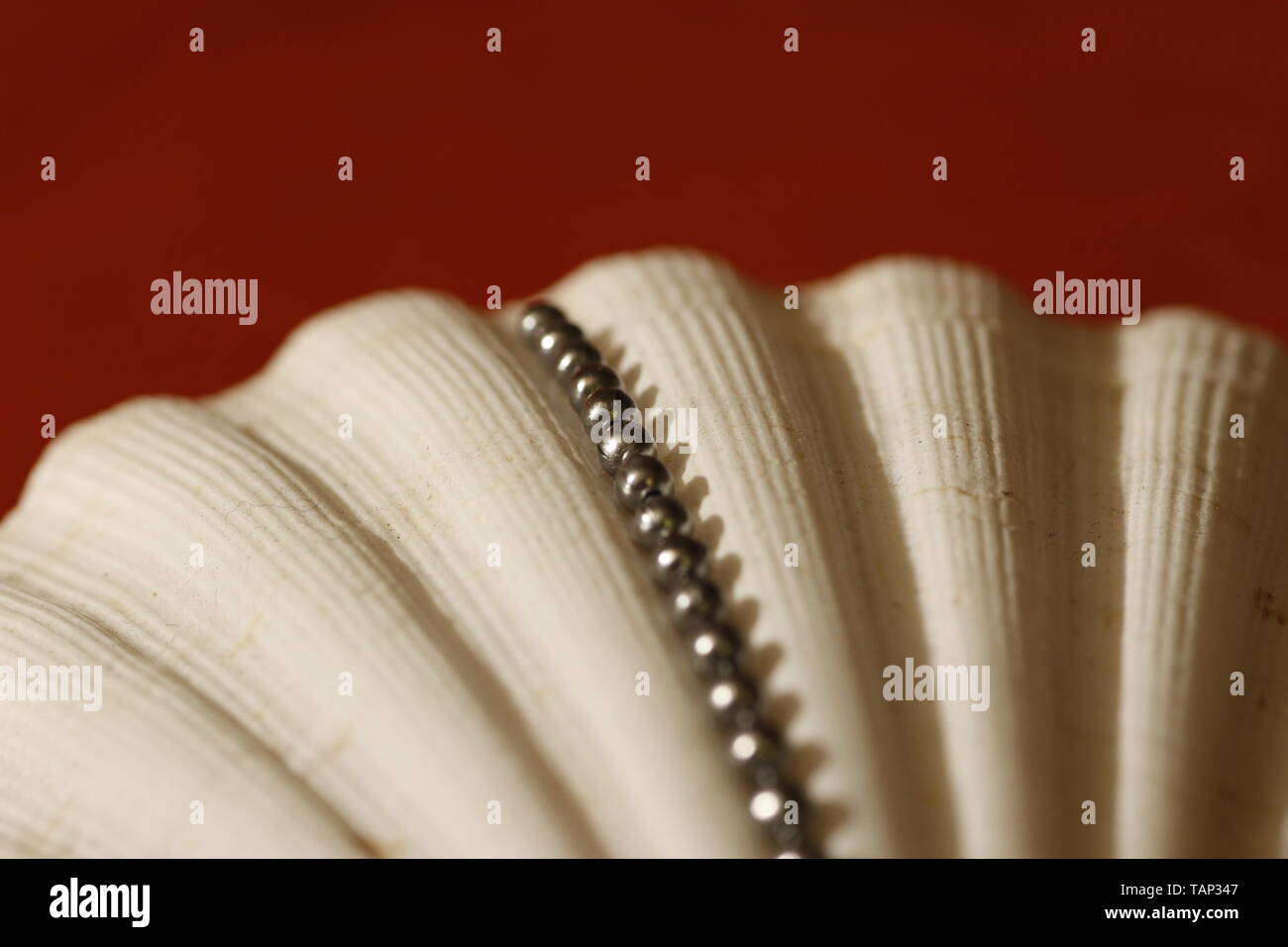 Immagine astratta che mostra una catena di piccole sfere di argento prevista entro le creste di un bianco smerlo shell Foto Stock