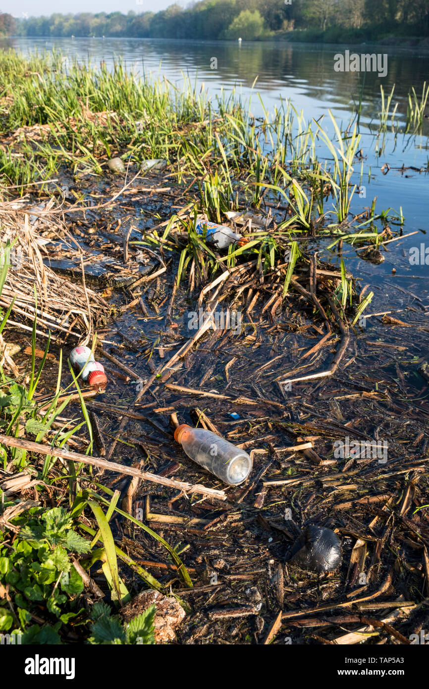 L'inquinamento del fiume. Le bottiglie di plastica, i rifiuti e di altri rifiuti in canneti sulle rive del fiume Trent, Nottinghamshire, England, Regno Unito Foto Stock