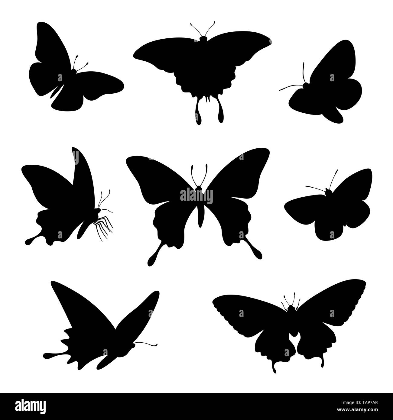 Silhouette butterfly illustrazione impostato Foto Stock