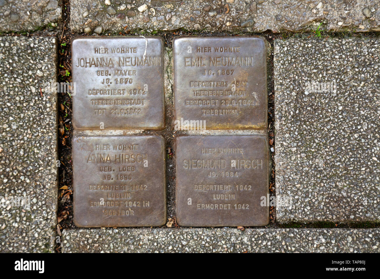 Stolpersteine (pietre di inciampo) di Wiesbaden, la capitale dello stato di Hesse, Germania. Foto Stock