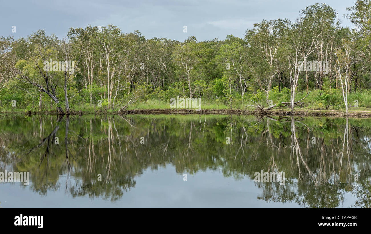 Bella vista speculare della Nourlangie Creek nel Parco Nazionale Kakadu, Australia Foto Stock