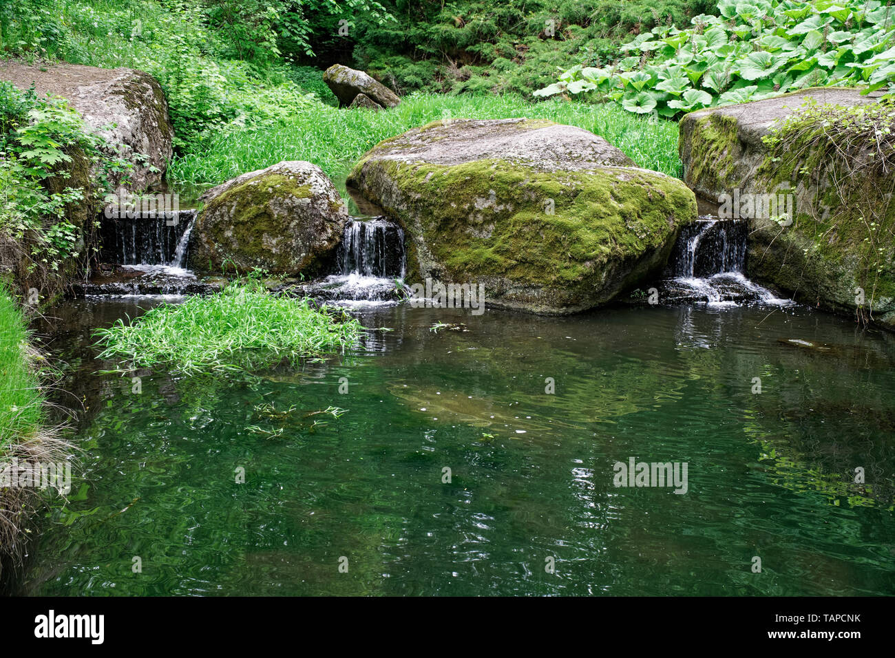 Pietre fresco giardino umore per la meditazione oasi verde Foto Stock