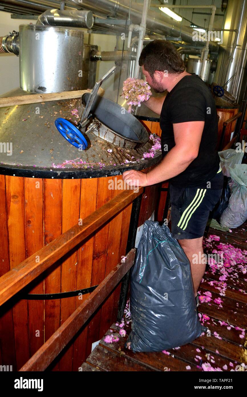 Olio di Rosa la distillazione - complesso etnografico Rosa Damascena in Kazanlak. Provincia di Stara Zagora.BULGARIA Foto Stock