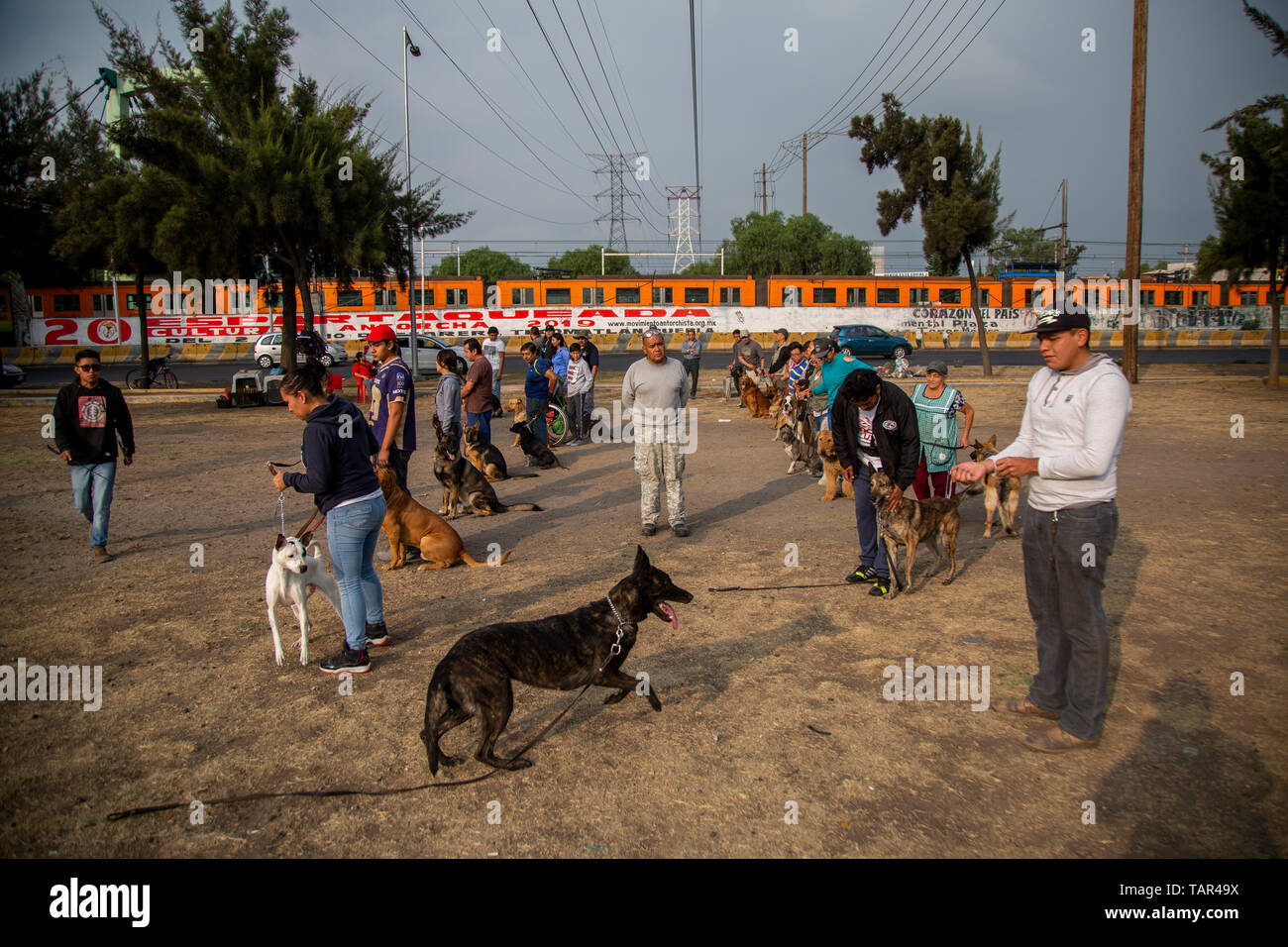Itzapalapa, Messico. 26 Maggio, 2019. Raul (M.), cane trainer lavora con i cani e i loro padroni nel trimestre Itzapalapa. Raul treni cani come 'sicurezza compagni'. Molti residenti di questo quartiere hanno optato per questo a causa dell'alto tasso di criminalità. Itzapalapa conduce le statistiche della criminalità nelle città del Messico. Secondo le cifre ufficiali, quasi duemila furti sono stati registrati nel mese di aprile 2019. Credito: Jair Cabrera Torres/dpa/Alamy Live News Foto Stock