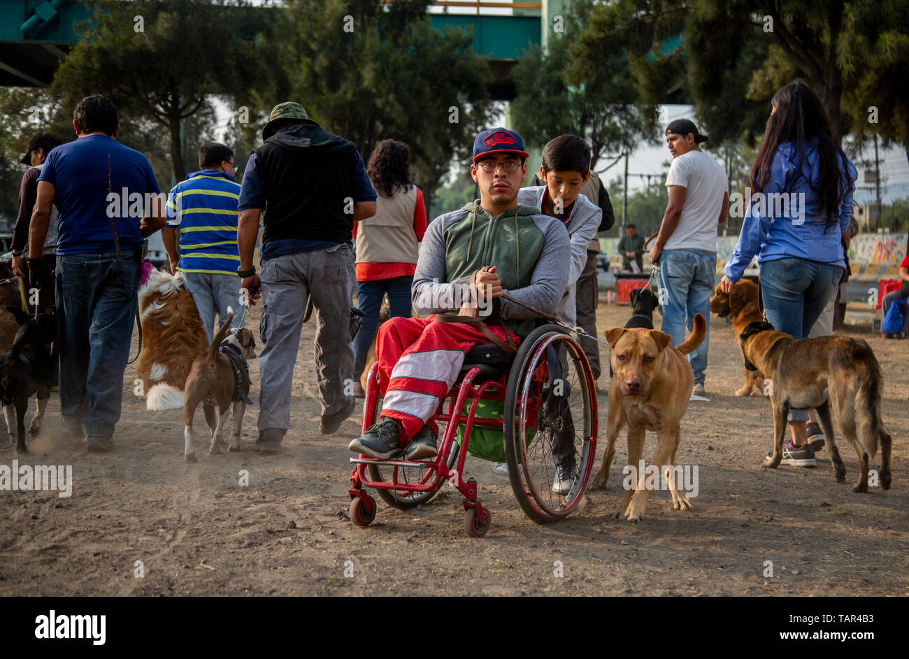 Itzapalapa, Messico. 26 Maggio, 2019. Due fratelli prendono il loro cane per la formazione su un parco nel quartiere di Itzapalapa. Ci sono cani addestrati come 'sicurezza compagni'. Molti residenti di questo quartiere hanno optato per questo a causa dell'alto tasso di criminalità. Itzapalapa conduce le statistiche della criminalità nelle città del Messico. Secondo le cifre ufficiali, quasi duemila furti sono stati registrati in questo trimestre in aprile 2019. Credito: Jair Cabrera Torres/dpa/Alamy Live News Foto Stock