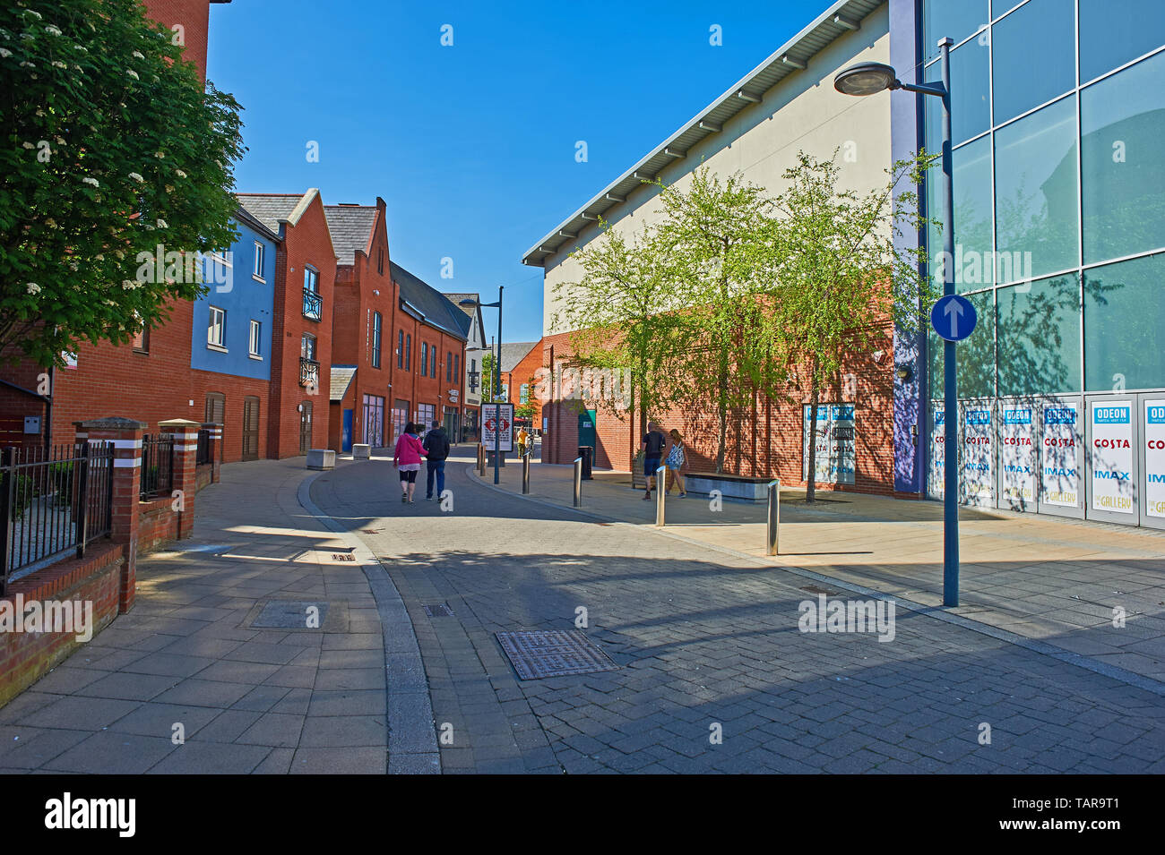 Homezone stile scena di strada in una tranquilla strada residenziale a Norwich, Norfolk Foto Stock