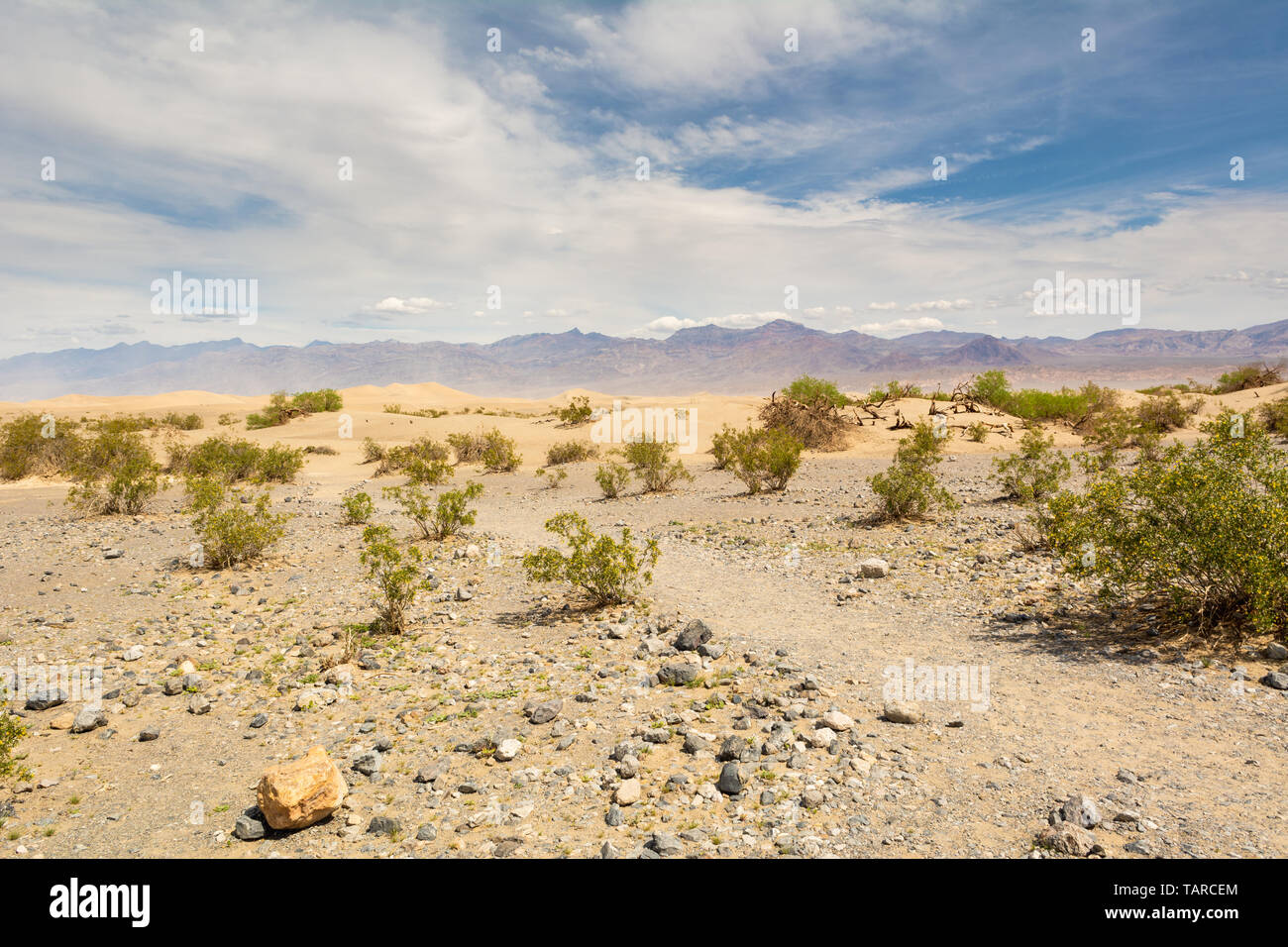 Mesquite Flat dune di sabbia nel Parco Nazionale della Valle della Morte. In California, Stati Uniti d'America Foto Stock