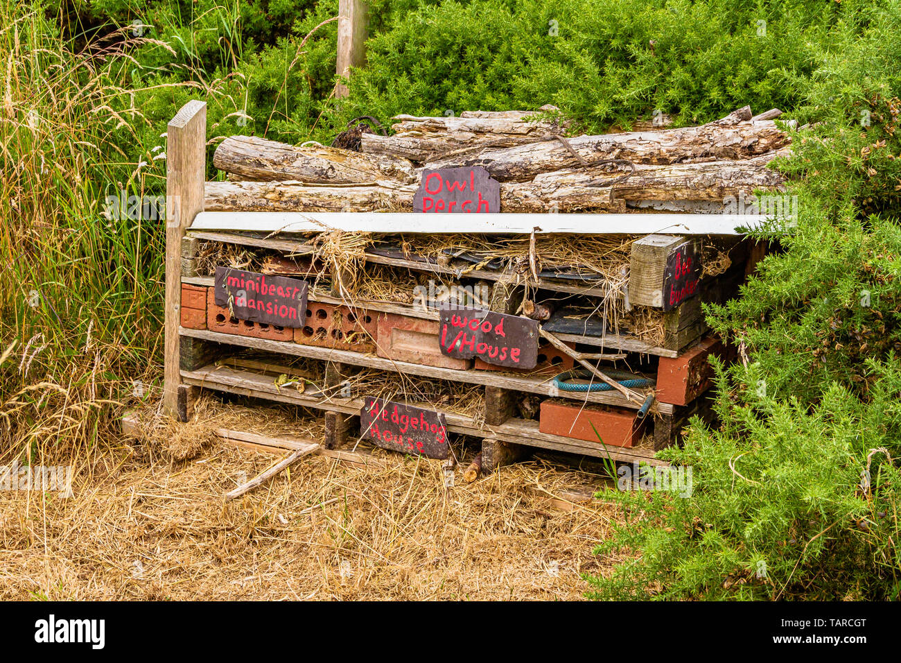Un bug Hotel. Legno, paglia e registri di mettere insieme per incoraggiare gli insetti e altri animali selvatici. Northumberland, Regno Unito. Luglio 2018. Foto Stock