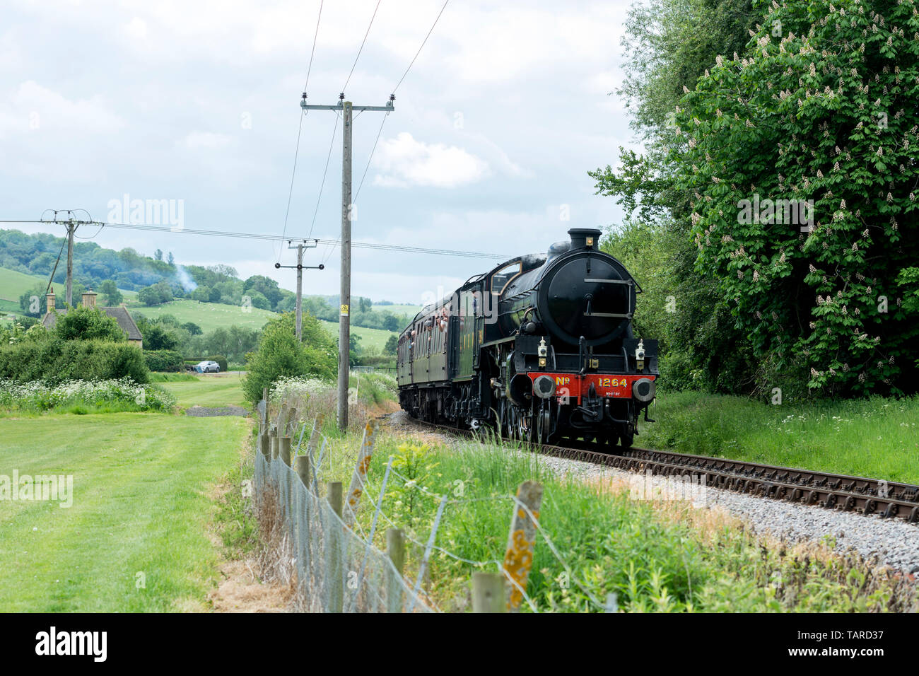 LNER B1 classe n. 1264 sulla Gloucestershire Warwickshire Railway, Gloucestershire, Regno Unito Foto Stock