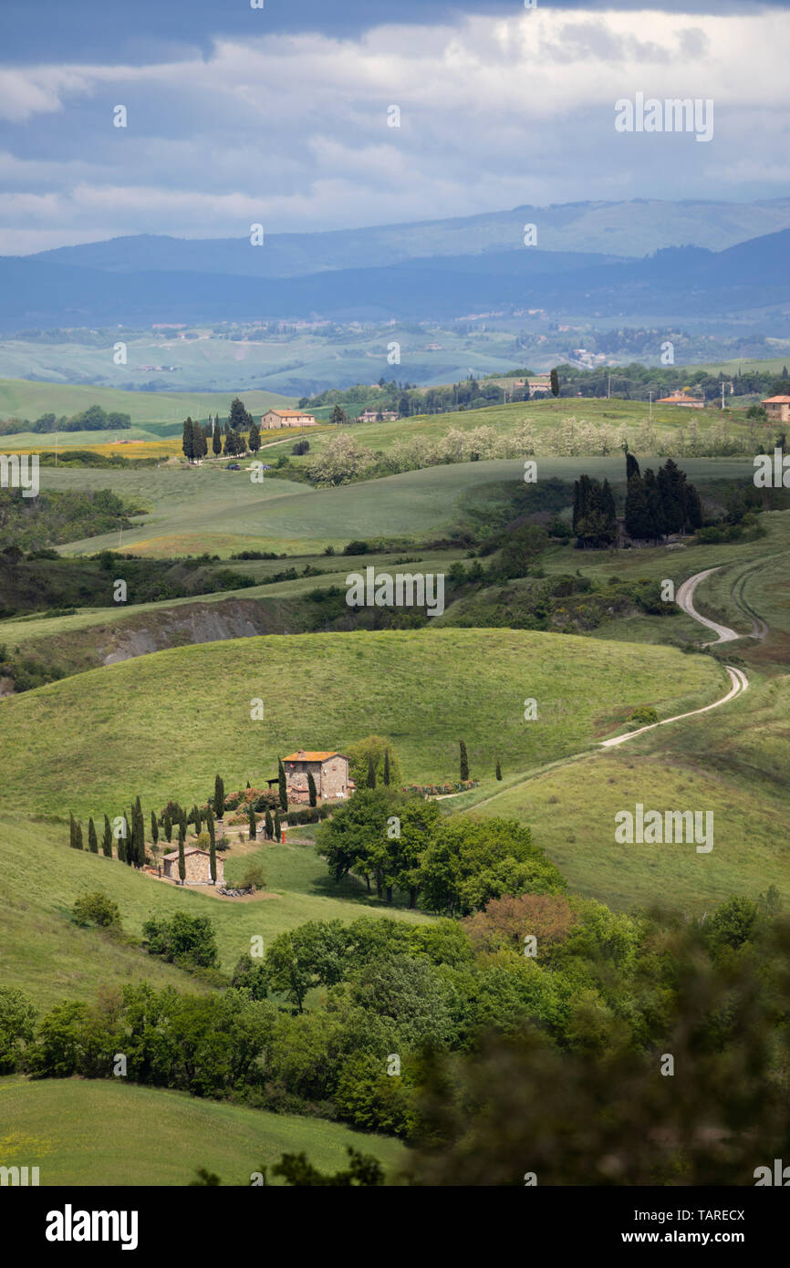 Tipica campagna toscana con casa colonica e cipressi, vicino a Pienza, in provincia di Siena, Toscana, Italia, Europa Foto Stock