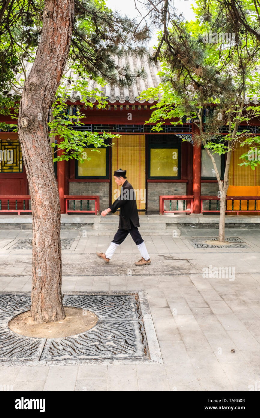 Un cinese taoista di passeggiate nel tranquillo cortile di BaiYun Tempio Taoista, Pechino, Cina Foto Stock