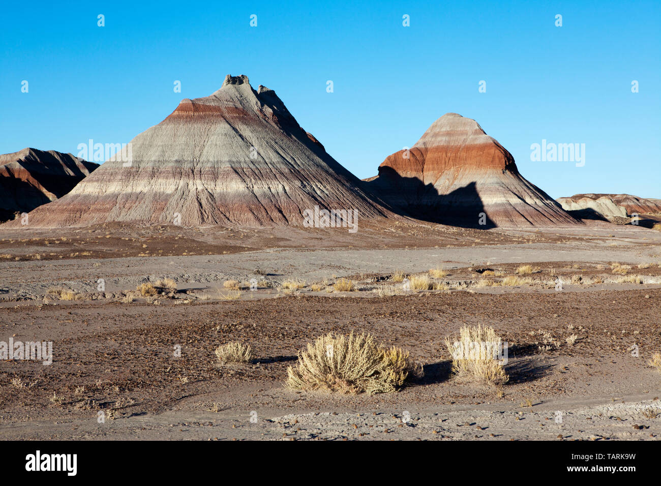 Parco Nazionale della Foresta Pietrificata, Arizona, USA Il Teepees, buttes formata dall'erosione del morbida e colorata strati della formazione Chinle. In ritardo T Foto Stock