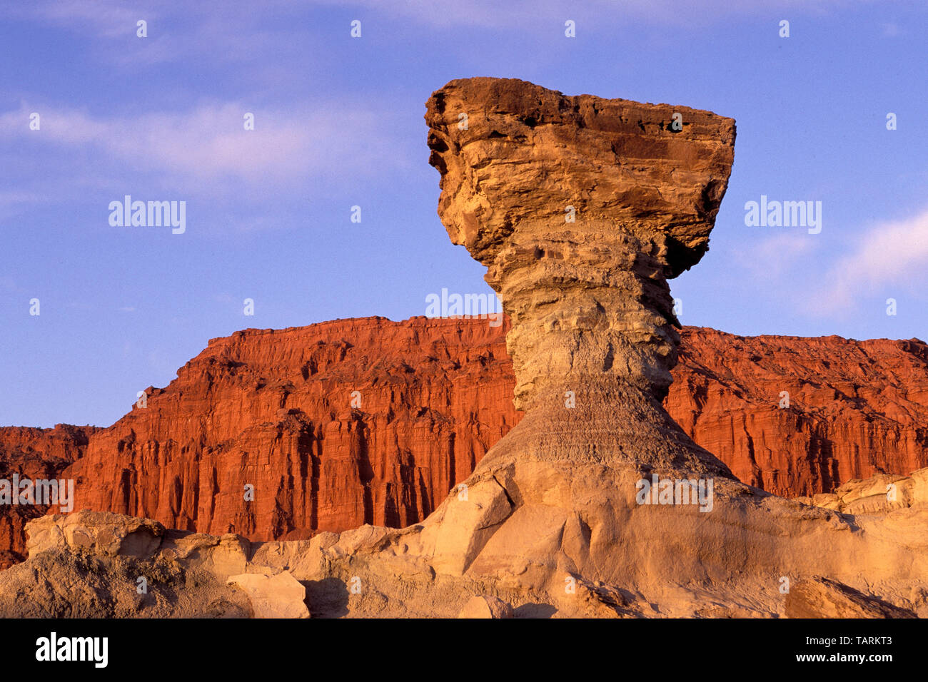 Argentina, Provincia di San Juan, Ischigualasto Parco provinciale (a valle della luna) Sito del Patrimonio Mondiale. " Il Fungo Rock". Triassico rocce sedimentarie Foto Stock