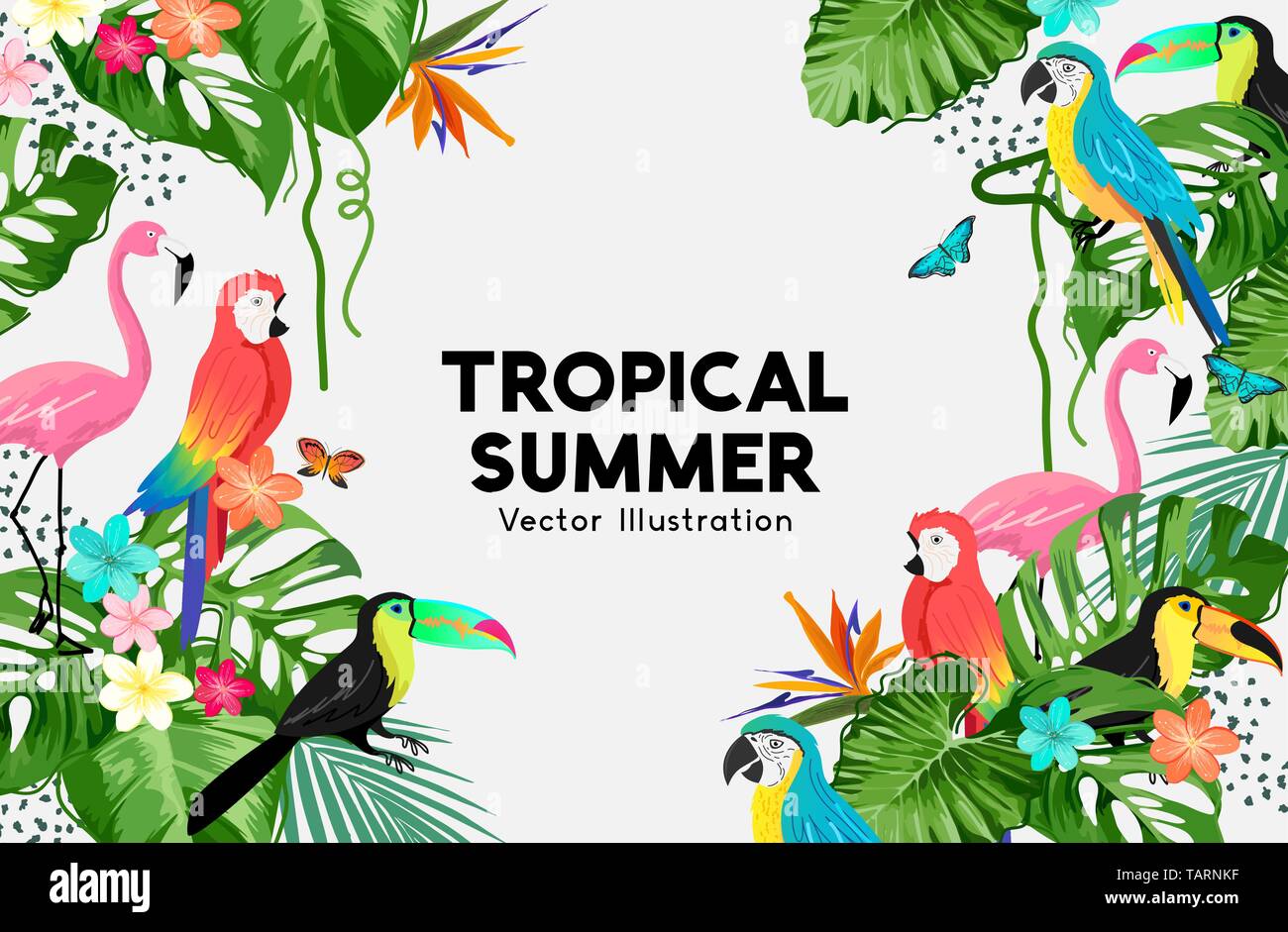 Una giungla esotica estate sfondo design telaio con uccelli e foglie di palmo. Illustrazione Vettoriale. Illustrazione Vettoriale