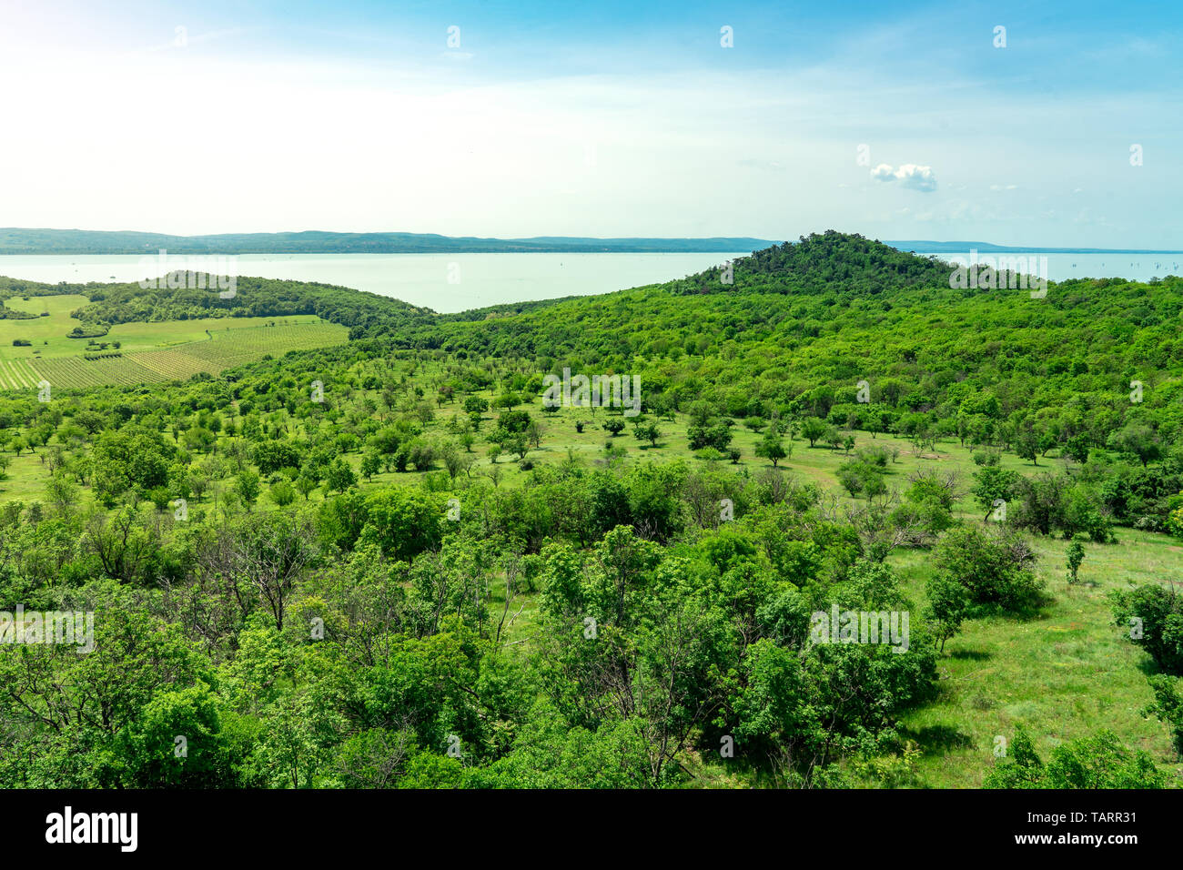 Arial vista panoramica del lago Balaton a Tihany con il lago interno dal ortorony look out torre di osservazione Foto Stock