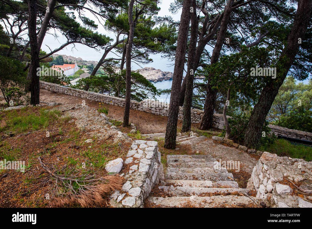 Bellissimi sentieri del Parco Gradac in Dubrovnik Foto Stock