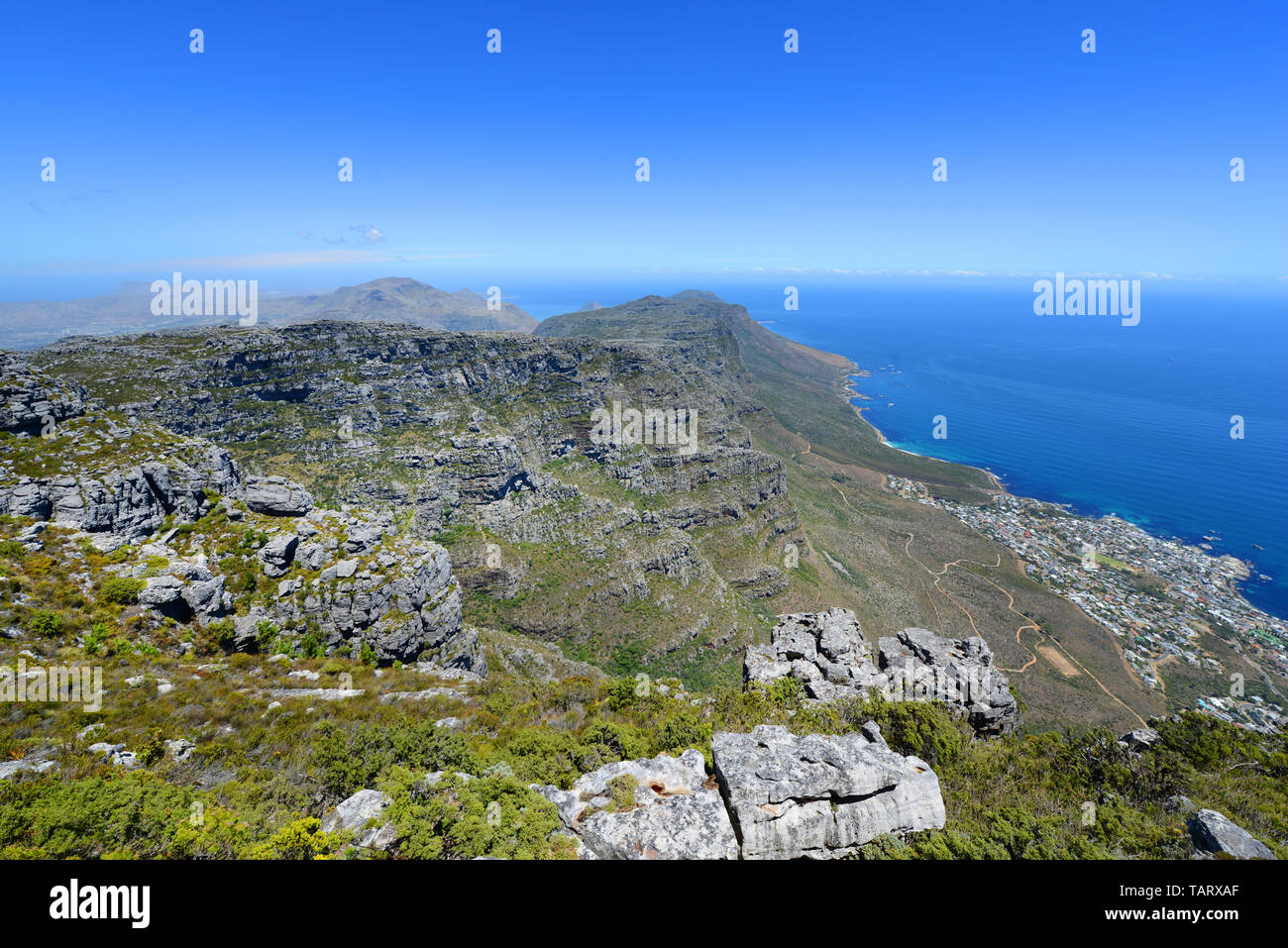 Table Mountain National Park in Cape Town. Foto Stock