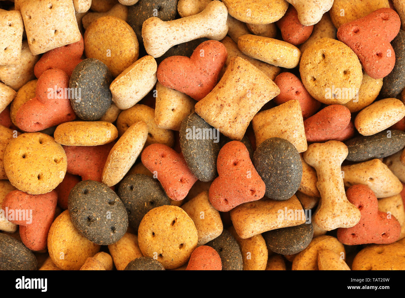 Cane tratta. Close up di varie forme di biscotto per cani Foto Stock