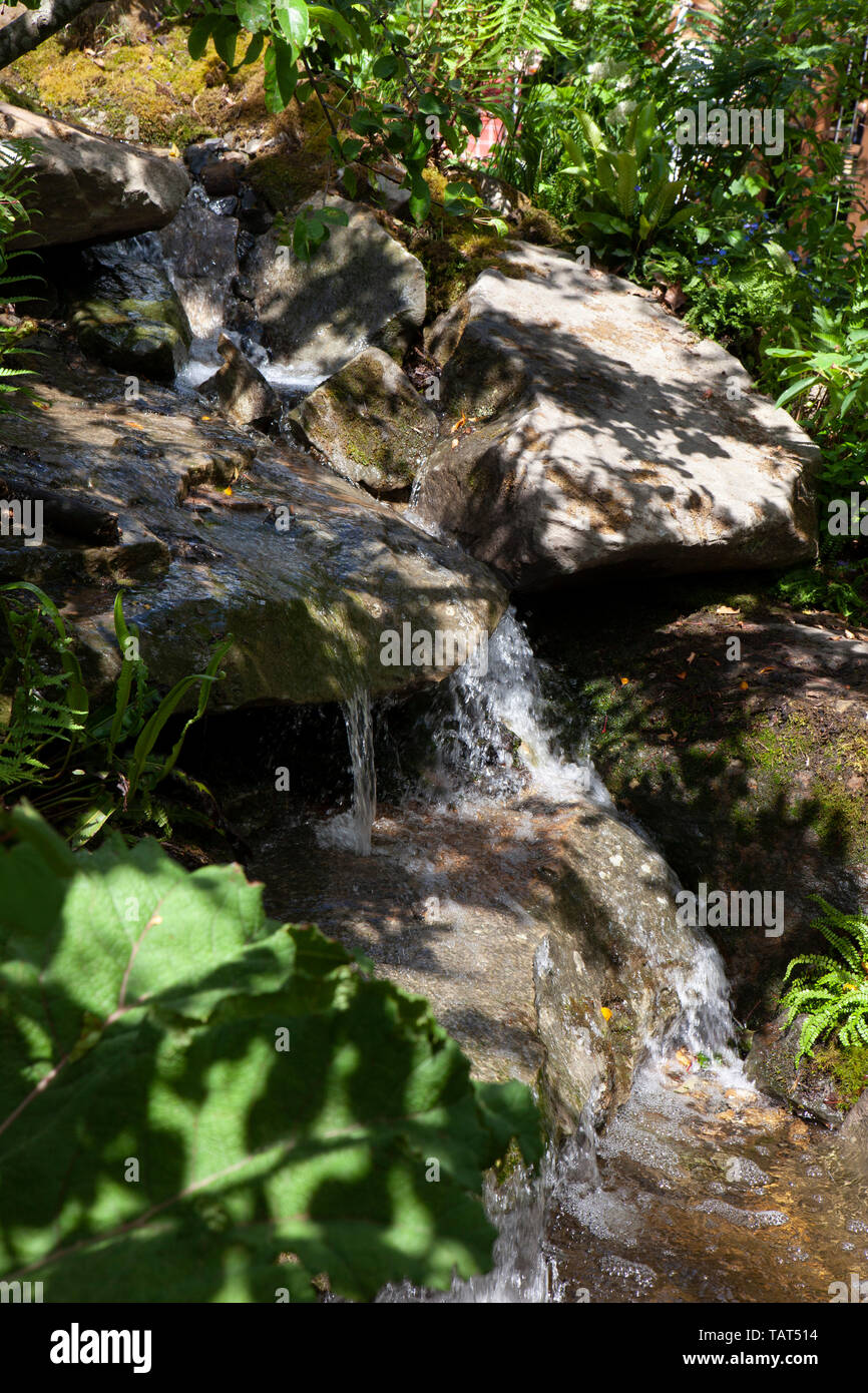 La RHS Chelsea Flower Show 2019: giardino designer Adam bianco del bianco Davies Ltd alla RHS Torna alla natura giardino che essi co-progettati con la Duchessa di Cambridge. Foto Stock