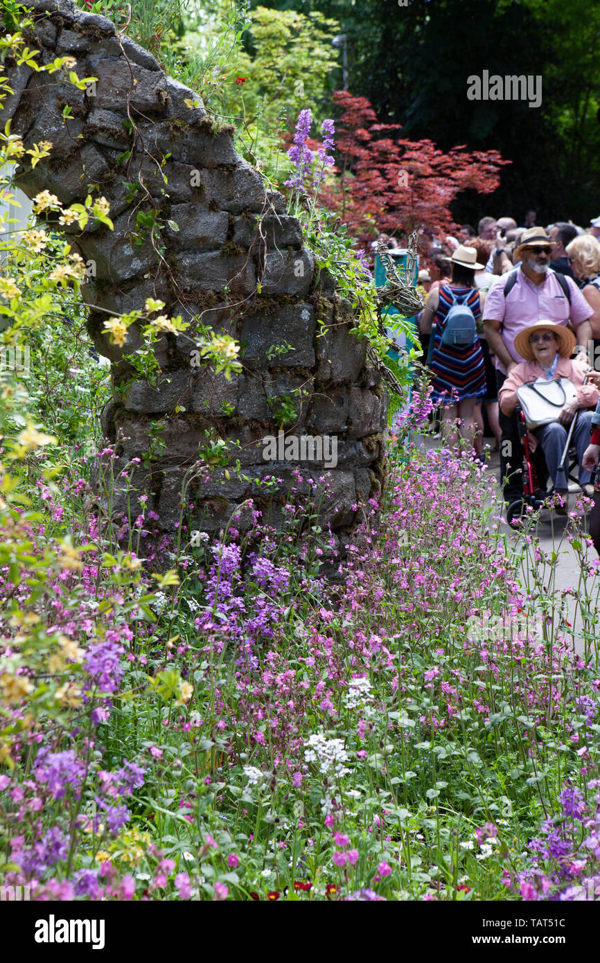 RHS Chelsea Flower Show 2019: visitatori sosta per ammirare un display RHS nell'artigiano area giardino. Foto Stock