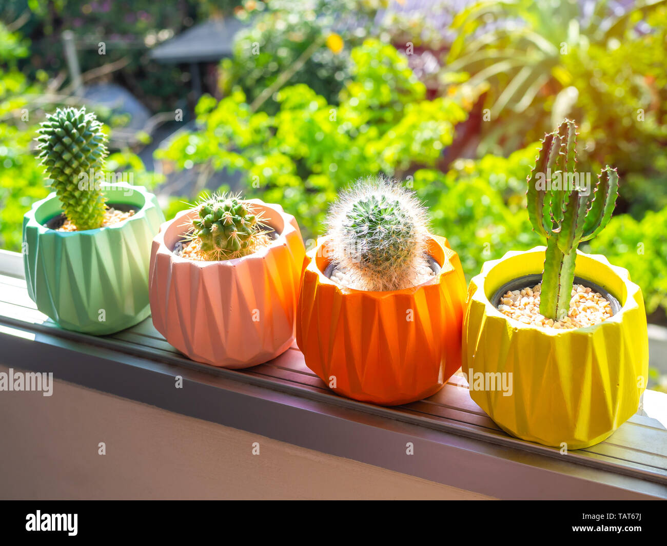 Verniciato colorato calcestruzzo geometrica piantatrici con impianto di cactus sulla finestra sulla natura verde dello sfondo. Dipinto di pentole di calcestruzzo per la decorazione della casa Foto Stock
