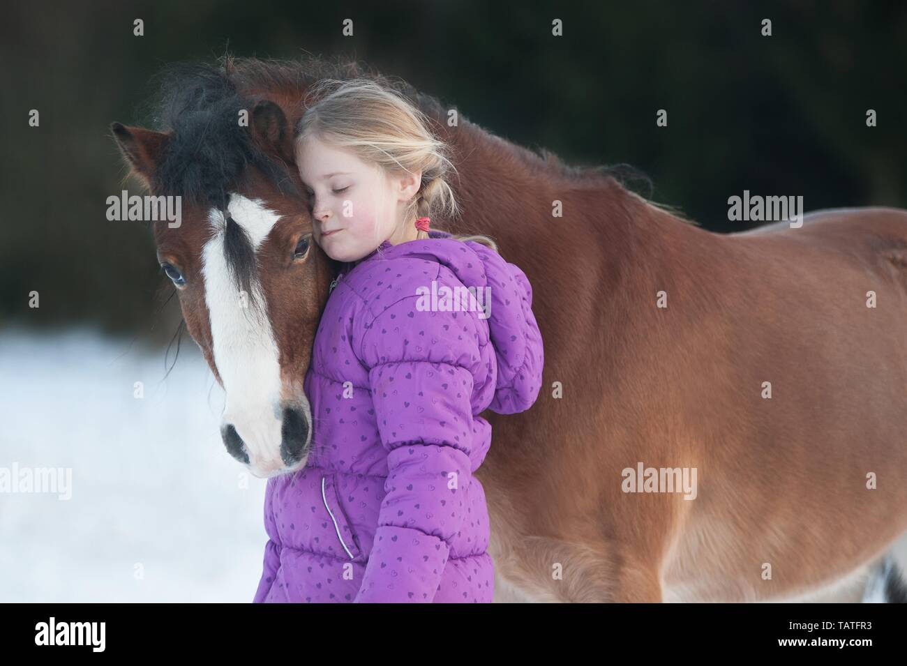 Ragazza e un gallese Foto Stock