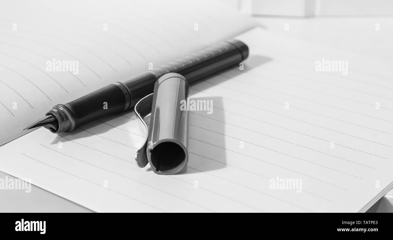 Una penna su notebook vista ingrandita Foto Stock