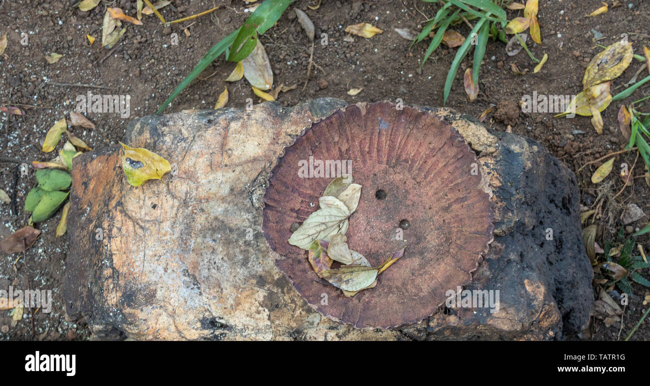 Una faccia formata da foglie e fori in un vaso di ceramica su una roccia in un giardino esterno immagine con spazio di copia Foto Stock