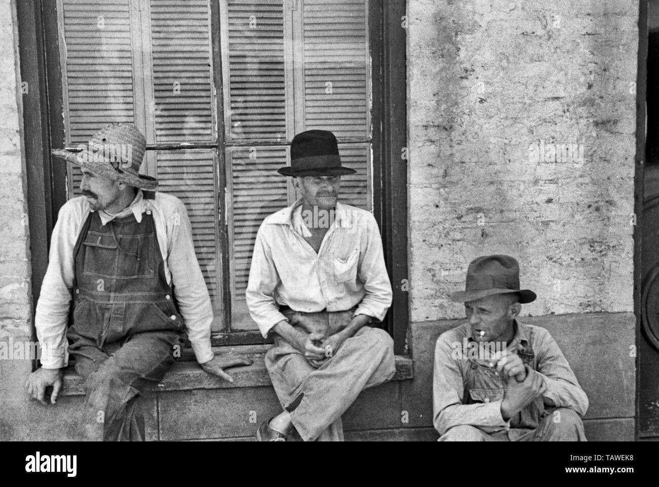 Frank Tengle, Bud i campi e Floyd Burroughs, cotone di mezzadri, Hale County, Alabama. Giugno 1936 Foto Stock