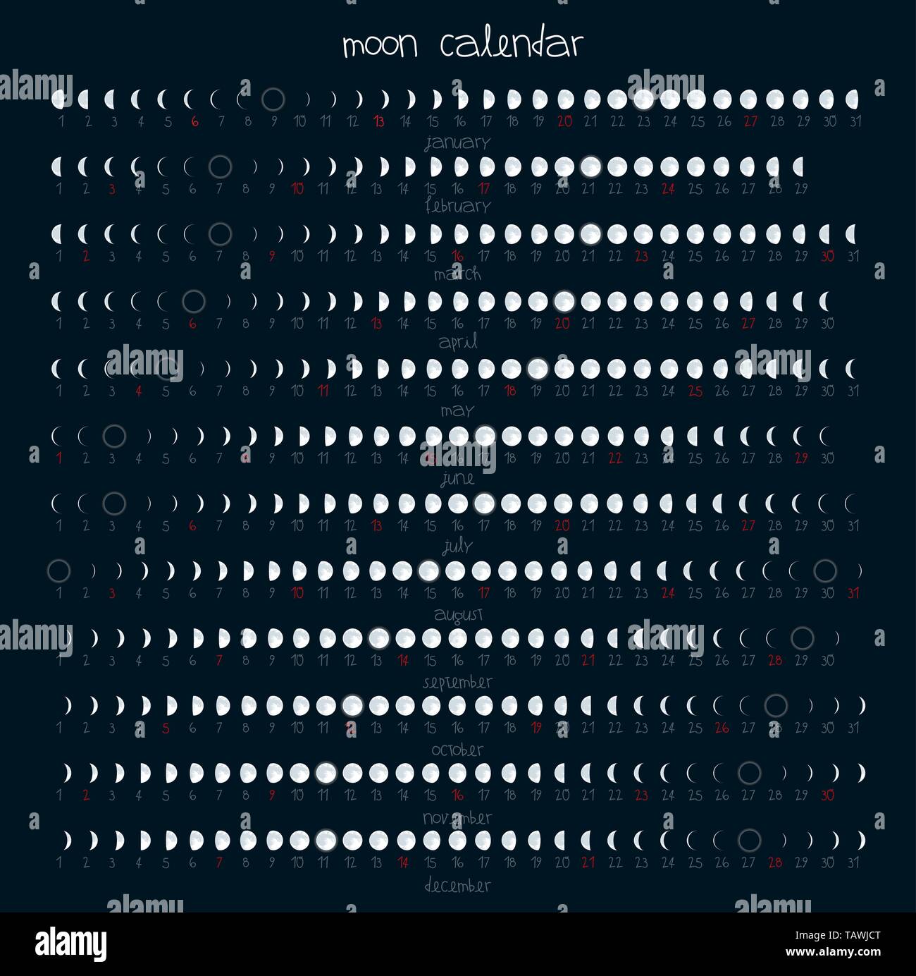 Illustrazione Vettoriale eps10. Fasi lunari calendario dodici mesi. Illustrazione Vettoriale