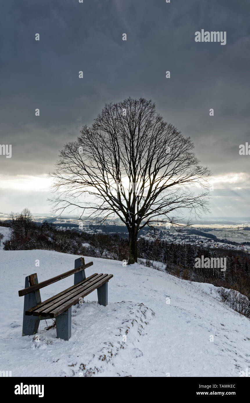 Da banco e albero in nevicate in inverno il paesaggio sulla cima della montagna in Baviera, Germania sotto spessi parziale copertura del cloud Foto Stock