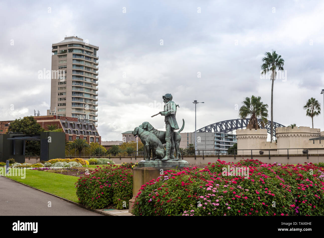 Vista della città dalla Royal Botanic Gardens di Sydney con la statua di Huntsman e cani in primo piano. Foto Stock
