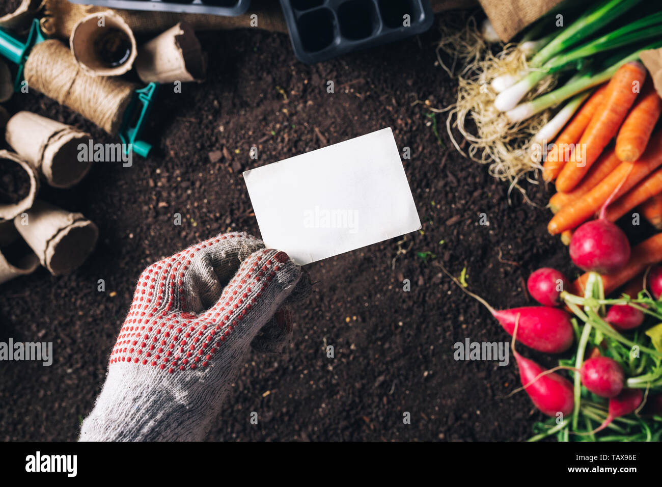 Business card mock up per organici homegrown produrre coltivazione, maschio giardiniere tenendo la scheda su raccolte di vegetali e attrezzature da giardinaggio Foto Stock