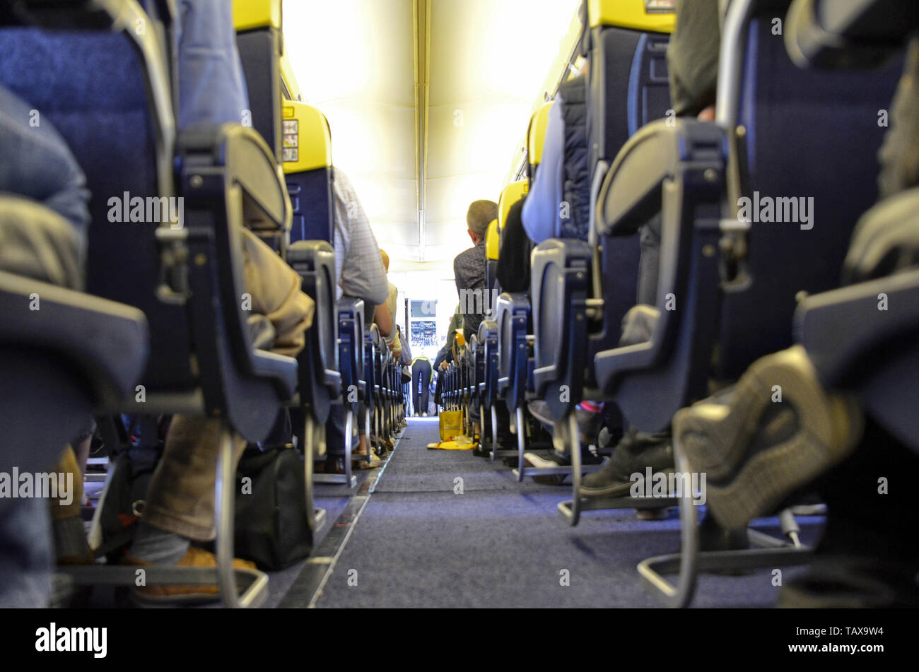Aeroporto di Torino Caselle, provincia di Torino, Regione Piemonte, Italia. Il 14 giugno 2018. Vista interna del volo Ryanair per Londra Stansted. I passeggeri di un Foto Stock