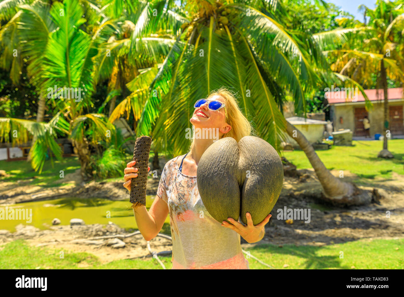Felice fanny donna turistica azienda Lodoicea Maldivica dado maschio e femmina, noto come coco de mer o di cocco del mare a Curieuse isola delle Seychelles. Il Foto Stock