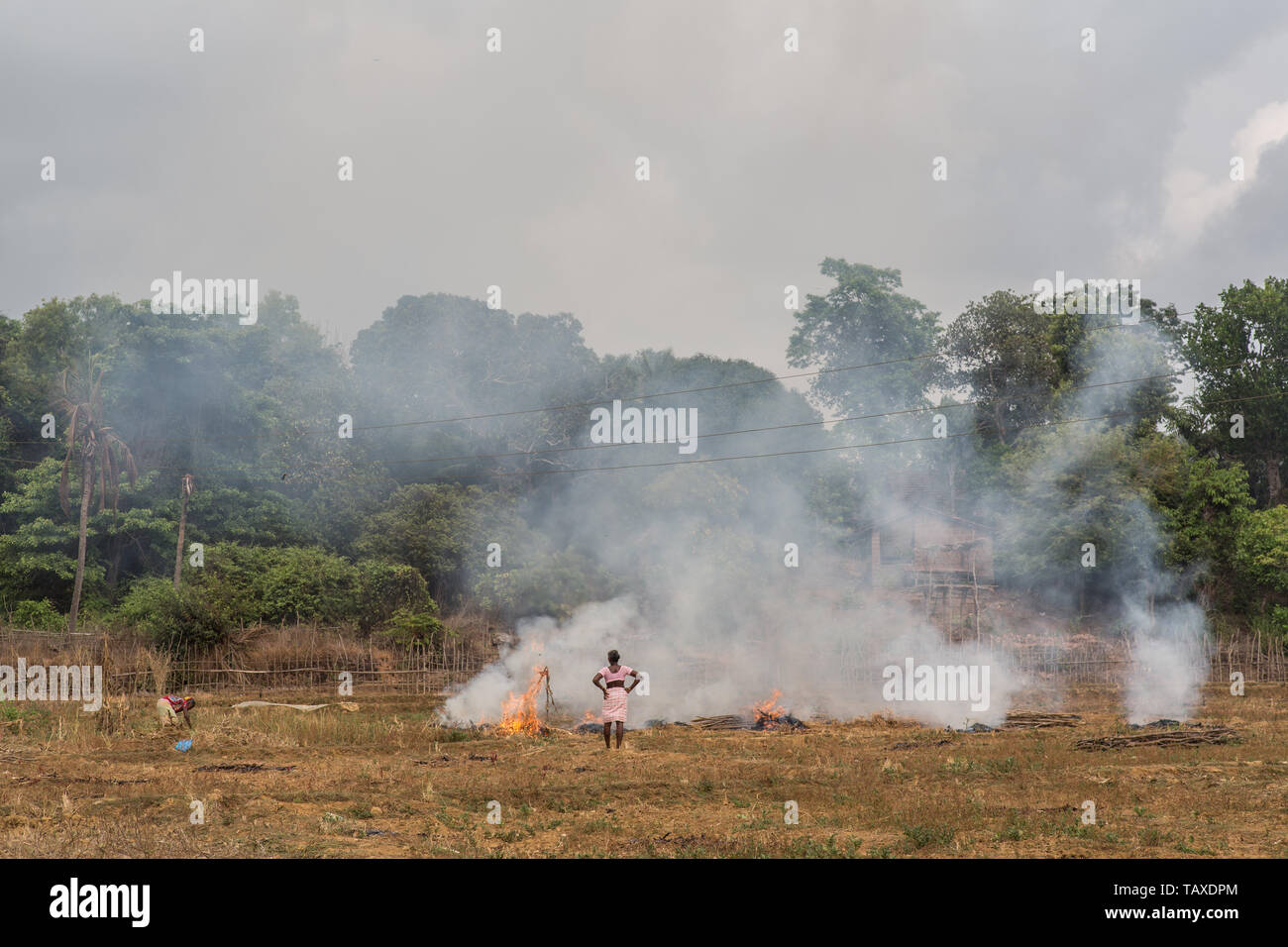 Un indiano agricoltore femmina bruciare le stoppie in un campo dopo il raccolto in Goa, India. Foto Stock