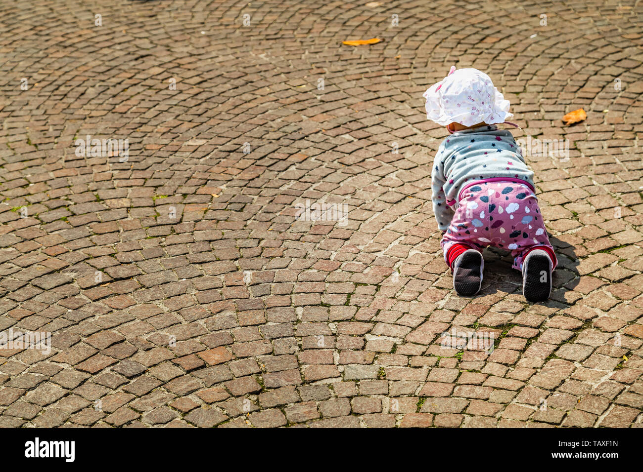 Retro della cute funny baby indossando cappello bianco e rosa pantaloni strisciando sul cobbledstones sull Italia Foto Stock
