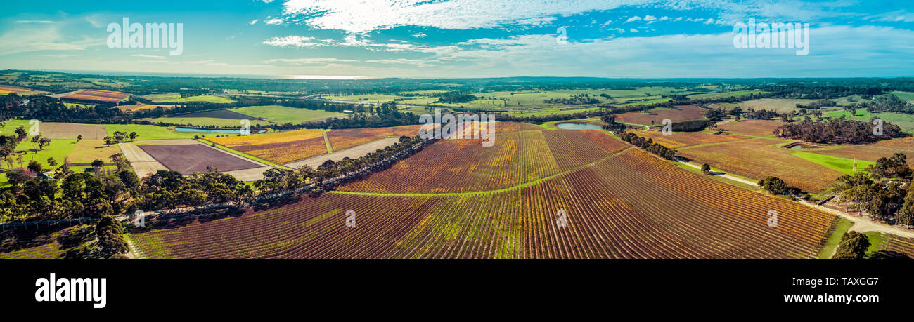 Ultra wide panorama dell'antenna del vastissimo vigneto e paesaggio rurale della Penisola di Mornington, Victoria, Australia Foto Stock