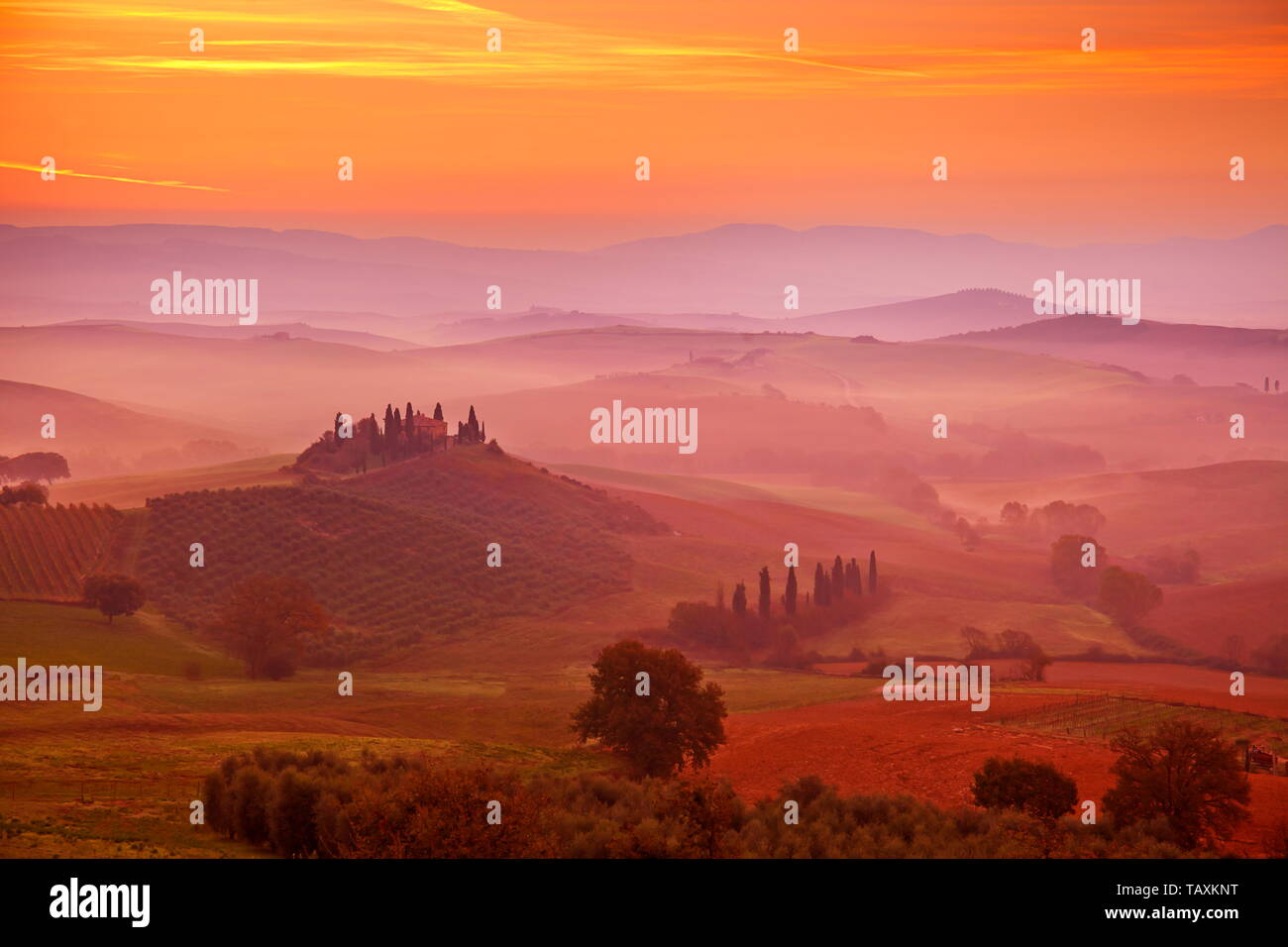 Toscana, sunrise mattina paesaggio, Val d'Orcia, Italia Foto Stock