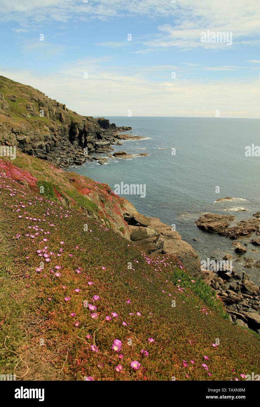 Lizard Point, Cornwall, Regno Unito Foto Stock