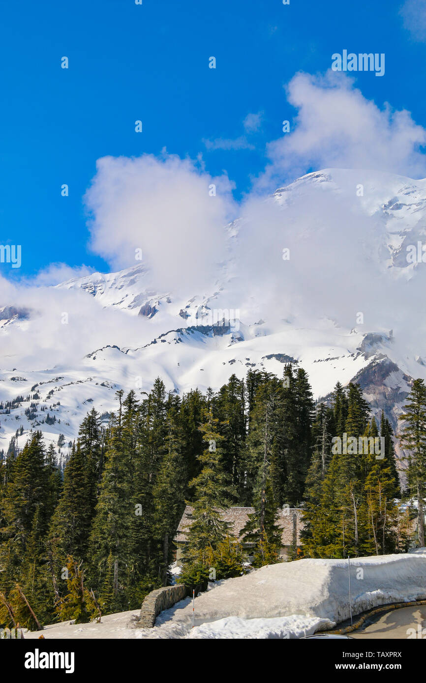 Paradise, il Parco Nazionale del Monte Rainier Foto Stock