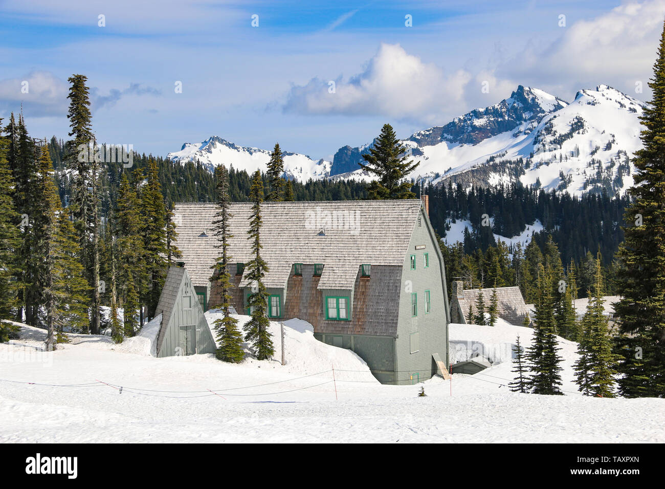 Paradise, il Parco Nazionale del Monte Rainier Foto Stock